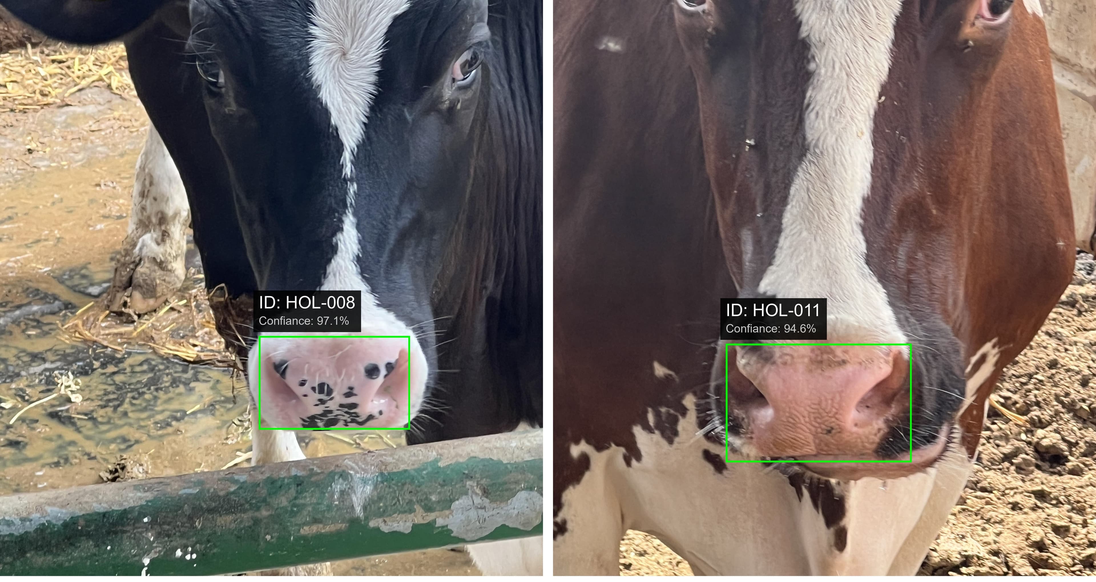 Face Detection System